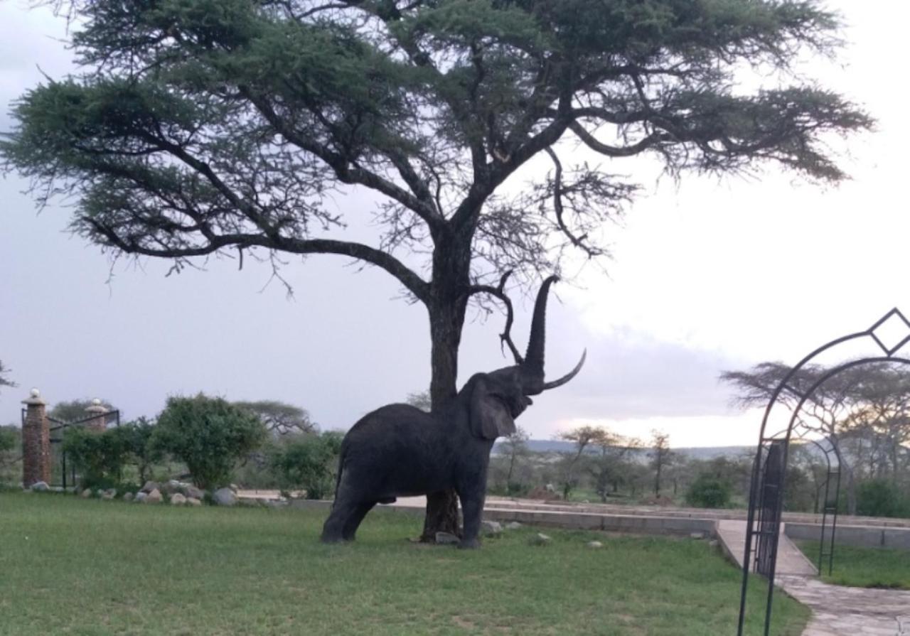 Seronera Wildlife Lodge Serengeti-Savanne Exterior foto